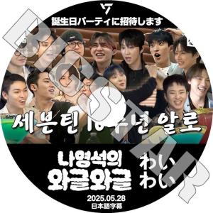 K-POP DVD／SEVENTEEN ある素敵な日 In JAPAN #3 (2017.04.14