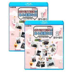 K-POP DVD／SEVENTEEN ある素敵な日 In JAPAN #3 (2017.04.14