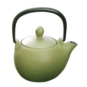 急須 南部鉄器 ティ ポット カラ ポット 岩鋳 マロン 艶消しグリ ン 0 3l 日本製 おしゃれ 茶こし付き 鉄急須 かわいい ギフト 製品保証付き 最安値 価格比較 Yahoo ショッピング 口コミ 評判からも探せる