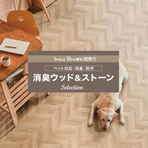 東リ（TOLI） TMフロア リノリウム リノリューム バレエ用床材シート