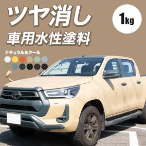 車 全塗装 塗料 マットカラー つや消しDIY 水性 塗り替え 自分で ペンキ カーペイント ジムニー 軽トラ 1kg ナチュラル＆クールカラー ディッピンペイント