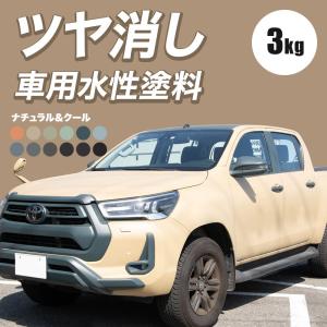 車 全塗装 塗料 マットカラー つや消しDIY 水性 塗り替え 自分で カーペイント ジムニー 軽トラ 3kg ナチュラル＆クールカラー ディッピンペイント