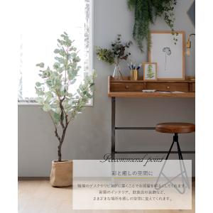 フェイクグリーン 人工 観葉植物 観葉樹 おし...の詳細画像2