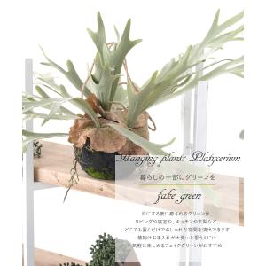 コウモリラン 壁掛け ビカクシダ 人工 観葉植...の詳細画像1