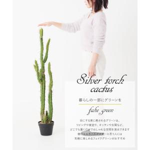 フェイクグリーン サボテン 人工 観葉植物 造...の詳細画像1
