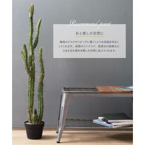 フェイクグリーン サボテン 人工 観葉植物 造...の詳細画像2