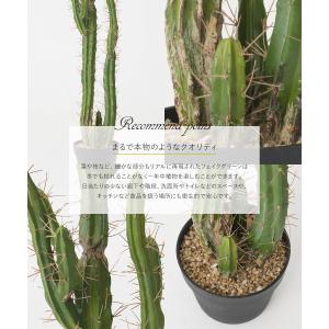 フェイクグリーン サボテン 人工 観葉植物 造...の詳細画像3