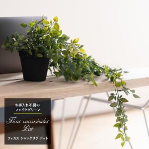 ニトリ（NITORI） フェイクグリーン 寄せ植え ガラスポット(グリーン