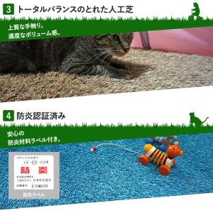 人工芝 ロール ベランダ diy ブラック ホ...の詳細画像3