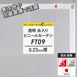 ビニールカーテン ビニールシート 透明 屋外 冷房 防炎 爆買い サイズオーダー 幅101〜200cm 丈50〜100cm FT09 0.23mm厚 JQ