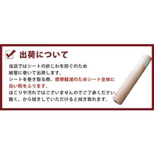 ビニールシート 透明 防水 厚手_ 飛沫防止 ...の詳細画像3