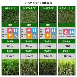 人工芝 いつでもGreen 有料サンプル 20...の詳細画像2