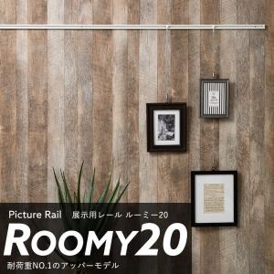 ピクチャーレール 天井付け 壁付け 写真 インテリア 展示用 収納 アッパータイプ ルーミー20　標準セット 2mまで JQ