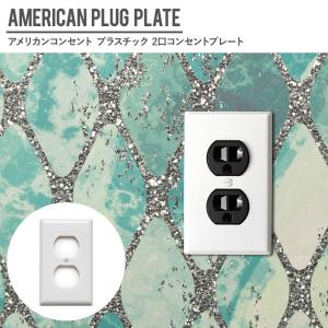 アメリカンコンセント用 2口 コンセントプレート プラスチック JO035 CSZ｜c-ranger