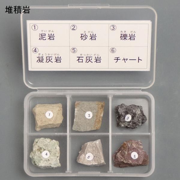 堆積岩6種セット