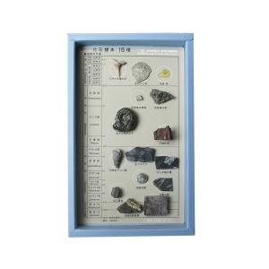 ジェムストーン 宝石鉱物 25種 解説付き 12.5×11×H3cm