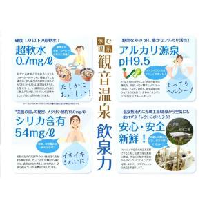 【ゴーゴーセール】観音温泉 飲む温泉 バックイ...の詳細画像3