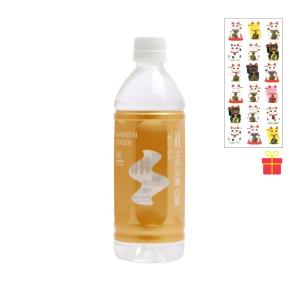 【送料無料】観音温泉 飲む温泉 500ml×24本【12ケース】【金運招き猫シール1枚付】温泉水 ミネラルウォーター 天然シリカ水 超軟水 国産 備蓄用｜c-vision