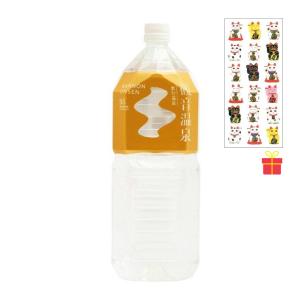 【送料無料】観音温泉 飲む温泉 2L×6本【20ケース】【金運招き猫シール1枚付】温泉水 ミネラルウォーター 天然シリカ水 超軟水 国産 備蓄用 ストック｜c-vision