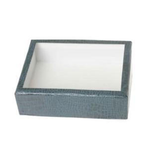 志賀昆虫普及社　ボール紙製標本箱 特小型 ガラス蓋付　昆虫採集 昆虫採取 シガコン
