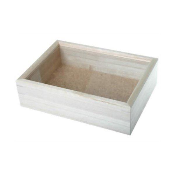 【ゴーゴーセール】志賀昆蟲普及社 インロー硝子蓋式標本箱 (桐製コルク板敷) 小型【マスキングテープ...