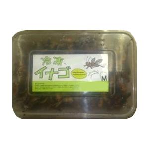 冷凍イナゴMサイズ 200g×25個セット【クー...の商品画像