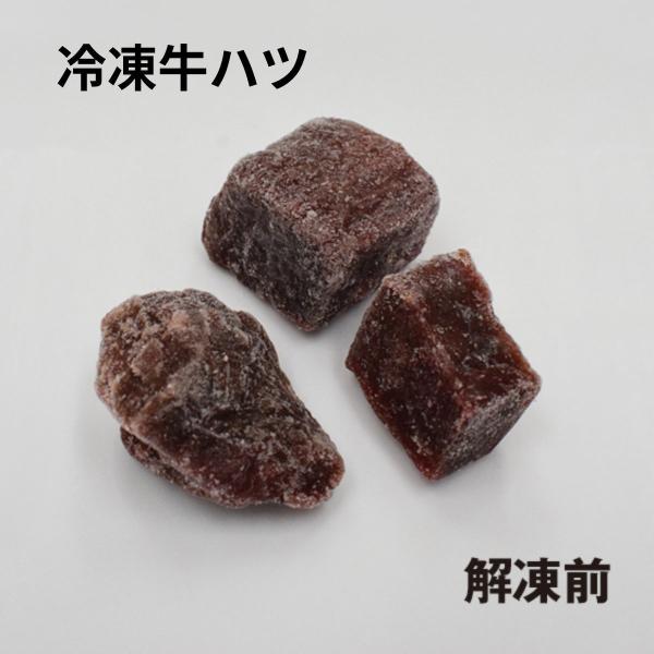 冷凍牛ハツ 500g×6個セット 業務用【クール便発送】ペット用 餌 えさ 心臓 生肉 角切り 大型...