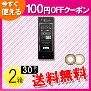 エバーカラーワンデー ルクアージュ 30枚入×2箱 ／送料無料 ／100円OFFクーポン｜c100