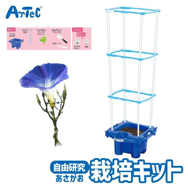 マルチラクラク あさがお 虫めがね付 Cセット 夏休み 自由研究 キット アーテック Artec