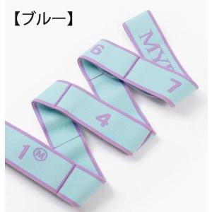 ストレッチバンド 新体操 バレエレッスンに 8...の詳細画像4