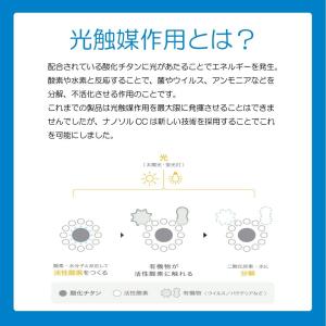 ナノソル CC nanosol 300ml 詰...の詳細画像3