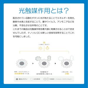 ナノソル CC nanosol 300ml 詰...の詳細画像3