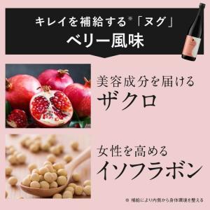 酵素ドリンク ファスティング メイト ヌグ ダ...の詳細画像2