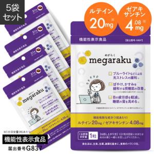 PYR FILING PLUS パイラ ファイリング プラス 45包入り : グッドシング