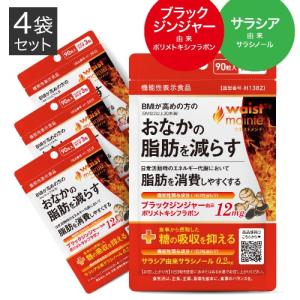 ブラックジンジャー サラシア サプリ BMIが高めの方の おなかの脂肪を減らす ウエストメンテ 機能性表示食品 90粒 4袋セット 約4ケ月分 燃焼系