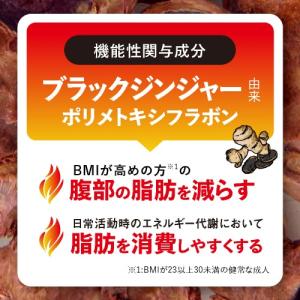 ブラックジンジャー サラシア サプリ BMIが...の詳細画像4