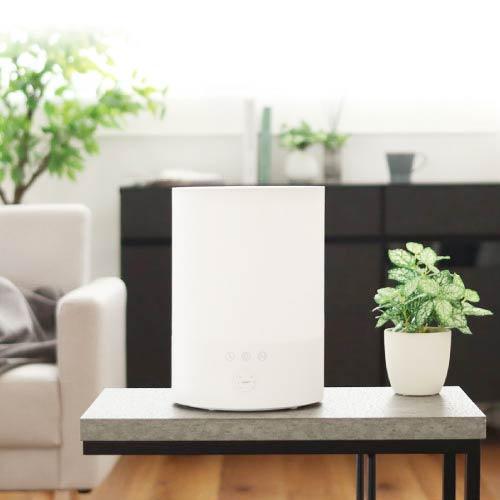 超音波加湿器 次亜塩素酸対応 噴霧器 バイバイ菌