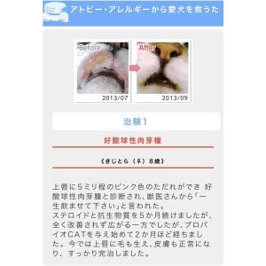 プロバイオキャット PROBiO CAT 粉末...の詳細画像4