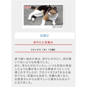 プロバイオキャット PROBiO CAT 粉末...の詳細画像5