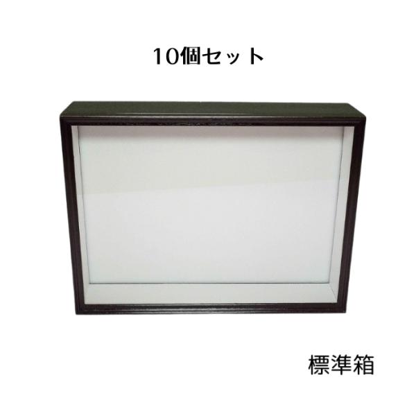 シーラケース シーラ箱 標準 10個セット 標本箱 昆虫標本 箱 標本ケース 標本キット ガラスケー...