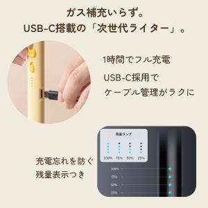 電子ライター USB充電式 かわいい シリーズ...の詳細画像4