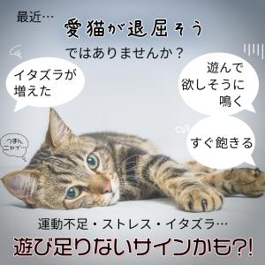 猫のおもちゃ にゃごのしっぽ 電動ボール 自動...の詳細画像1