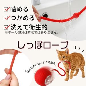 猫のおもちゃ にゃごのしっぽ 電動ボール 自動...の詳細画像3