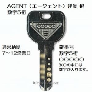 配達送料とスペアキーです。　専用 送料無料【合鍵】SEPA（セパ） GS 印 建物・玄関 鍵 純正キー