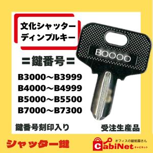 送料無料 ネコポス=速達=【合鍵】タキゲン（TAKIGEN） 鍵 030 030番