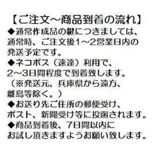 送料無料【合鍵】ダイヤ(DAIYA) S 印 ...の詳細画像1