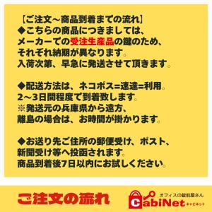 送料無料 【合鍵作成】アイリスチトセ(IRIS...の詳細画像1