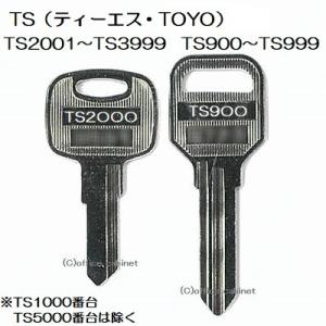 送料無料【合鍵】TS(ティーエス・TOYO)TS...の商品画像