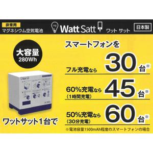 【送料無料】100個セット 非常用マグネシウム...の詳細画像1