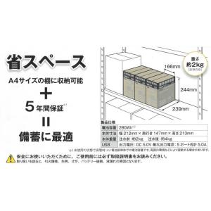 【送料無料】100個セット 非常用マグネシウム...の詳細画像4